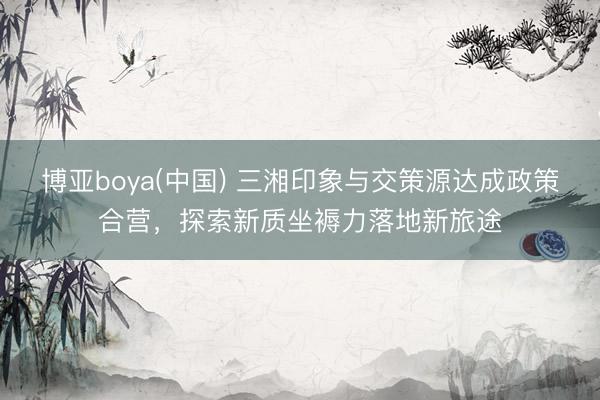 博亚boya(中国) 三湘印象与交策源达成政策合营，探索新质坐褥力落地新旅途