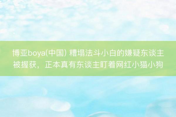 博亚boya(中国) 糟塌法斗小白的嫌疑东谈主被握获，正本真有东谈主盯着网红小猫小狗