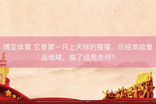 博亚体育 它是第一只上天际的猩猩,历经艰险复返地球,临了结局奈何?