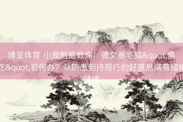 博亚体育 小宠抱抱教你：德文卷毛猫"偷吃"若何办？从防患到持现行的好意思满有缱绻
