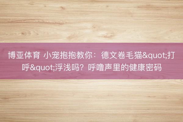 博亚体育 小宠抱抱教你：德文卷毛猫"打呼"浮浅吗？呼噜声里的健康密码