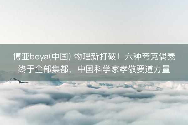 博亚boya(中国) 物理新打破！六种夸克偶素终于全部集都，中国科学家孝敬要道力量