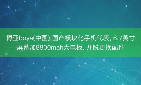 博亚boya(中国) 国产模块化手机代表， 6.7英寸屏幕加8800mah大电板， 开脱更换配件