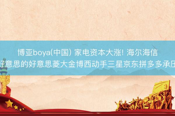 博亚boya(中国) 家电资本大涨! 海尔海信好意思的好意思菱大金博西动手三星京东拼多多承压
