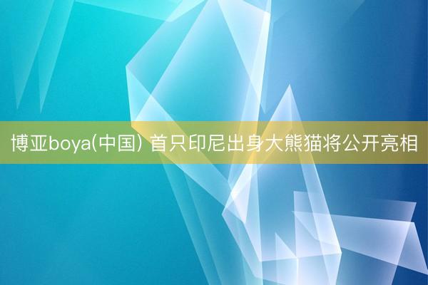 博亚boya(中国) 首只印尼出身大熊猫将公开亮相