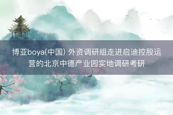 博亚boya(中国) 外资调研组走进启迪控股运营的北京中德产业园实地调研考研