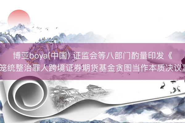 博亚boya(中国) 证监会等八部门酌量印发《笼统整治罪人跨境证券期货基金贪图当作本质决议》