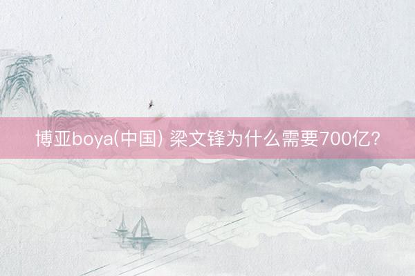 博亚boya(中国) 梁文锋为什么需要700亿?