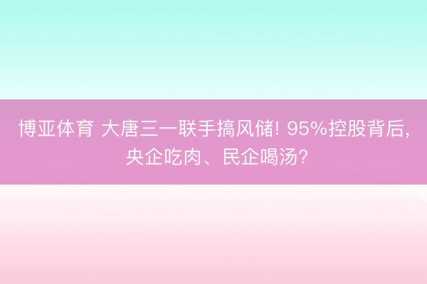 博亚体育 大唐三一联手搞风储! 95%控股背后, 央企吃肉、民企喝汤?