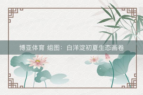 博亚体育 组图:白洋淀初夏生态画卷