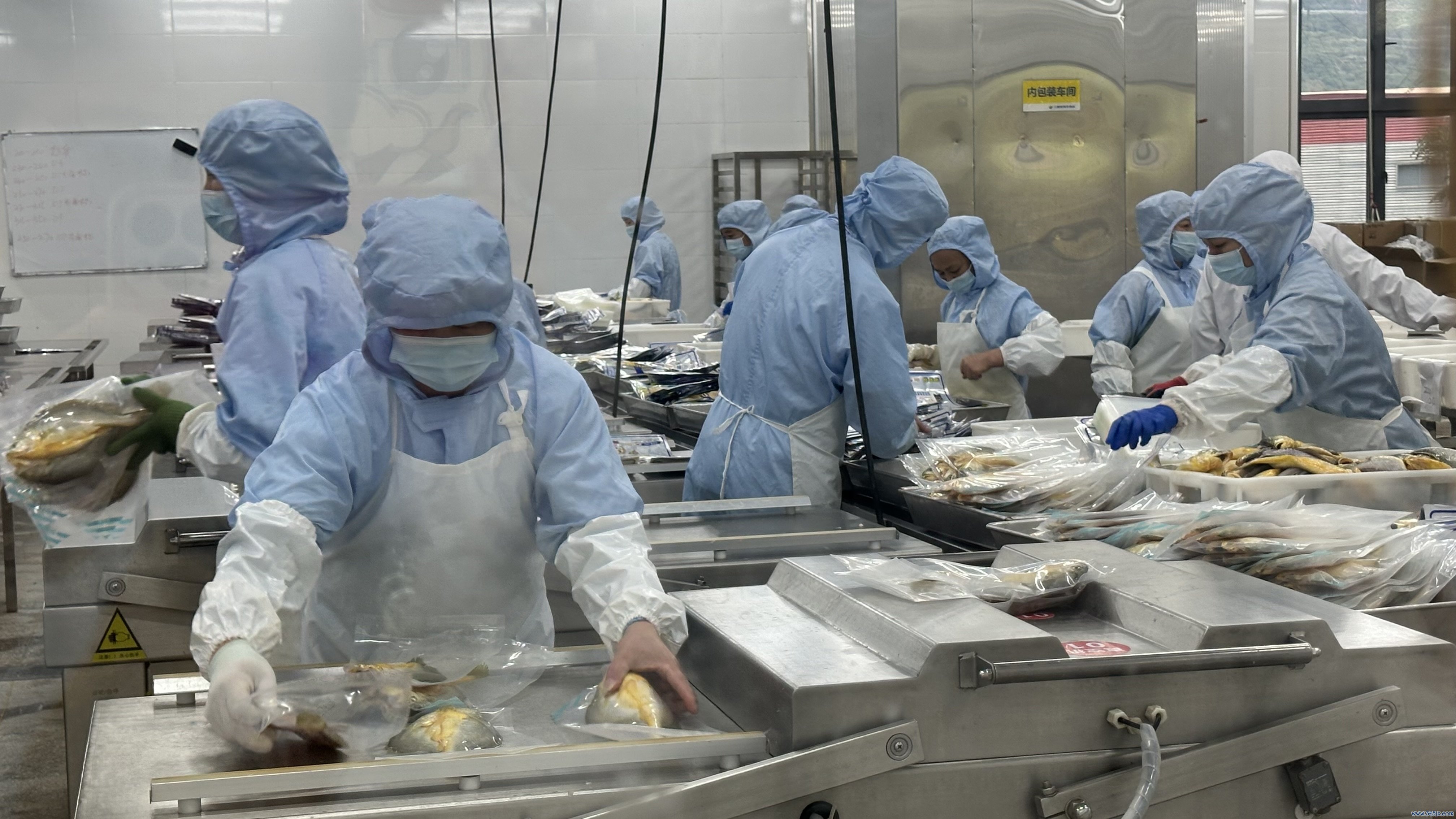 金盛水产车间。东谈主民网记者 王绍绍摄