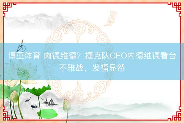 博亚体育 肉德维德？捷克队CEO内德维德看台不雅战，<a href=