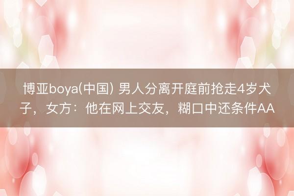 博亚boya(中国) 男人分离开庭前抢走4岁犬子，女方：他在网上交友，糊口中还条件AA