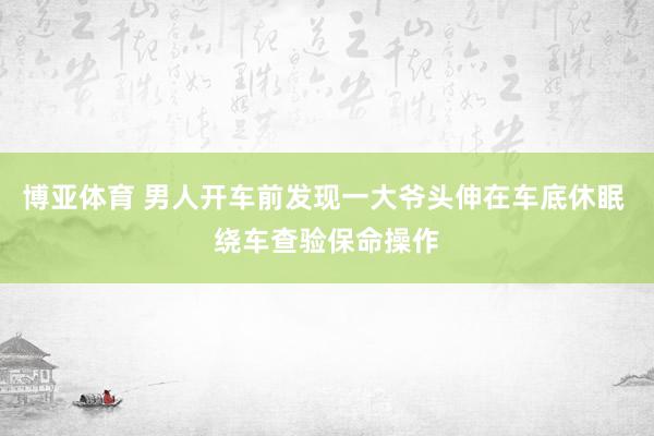 博亚体育 男人开车前发现一大爷头伸在车底休眠 绕车查验保命操作